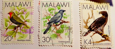 malawi-img_0084-maria-de-bruyn