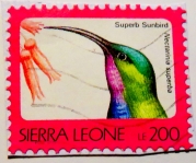 sierra-leone-img_0057-maria-de-bruyn